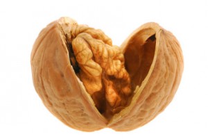 Content marketing in a nutshell - picture of a nutshell