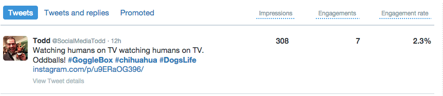 Twitter Analytics - Tweets
