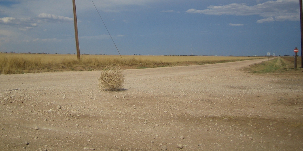 tumbleweed - don't blog too niche