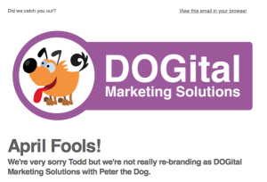 DOGital Marketing - Mailchimp email