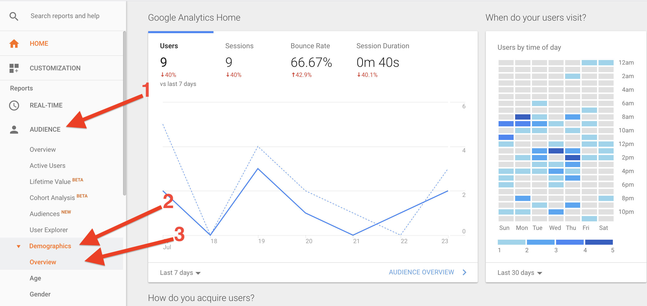 Demographics overview in Google Analytics